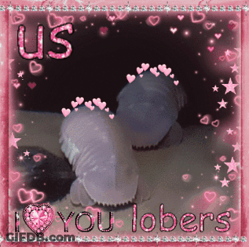 A Picture Of A Person With The Words Us I Love You Lobers GIF