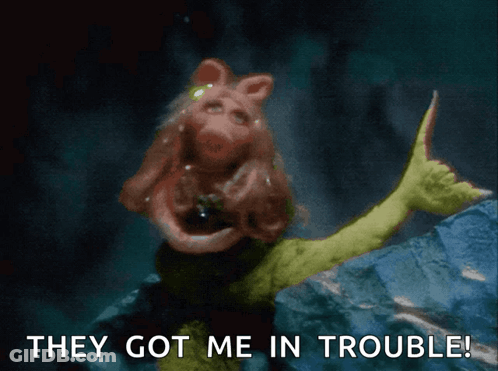A Picture Of A Pig Giving A Thumbs Up And The Words " They Got Me In Trouble " GIF