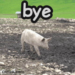 A Picture Of A Pig In A Muddy Field With The Word Bye Above It GIF