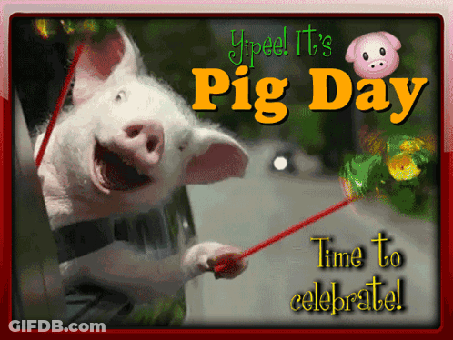 A Picture Of A Pig On A Leash With The Words Pig Day Time To Celebrate GIF