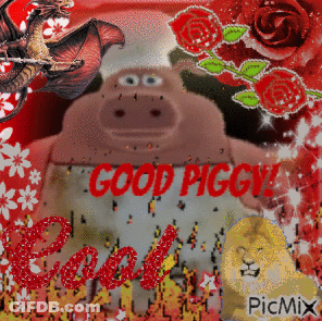 A Picture Of A Pig Says Good Piggy GIF
