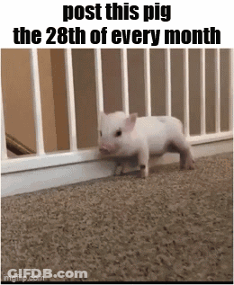 A Picture Of A Pig That Says Post This Pig The 28Th Of Every Month . GIF