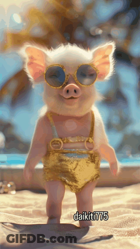 A Picture Of A Pig Wearing Sunglasses And A Bikini With The Name Daikiti775 Written Below It GIF