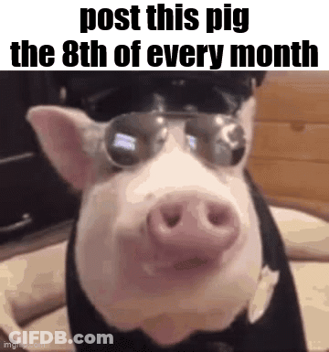A Picture Of A Pig Wearing Sunglasses With The Words Post This Pig The 8Th Of Every Month . GIF