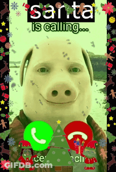 A Picture Of A Pig With Santa Is Calling GIF