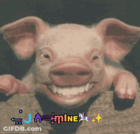 A Picture Of A Pig With The Name Jasmine Written On It GIF