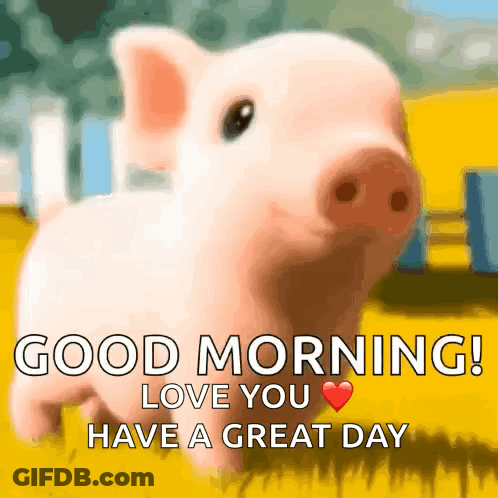 A Picture Of A Pig With The Words " Good Morning Love You Have A Great Day " GIF