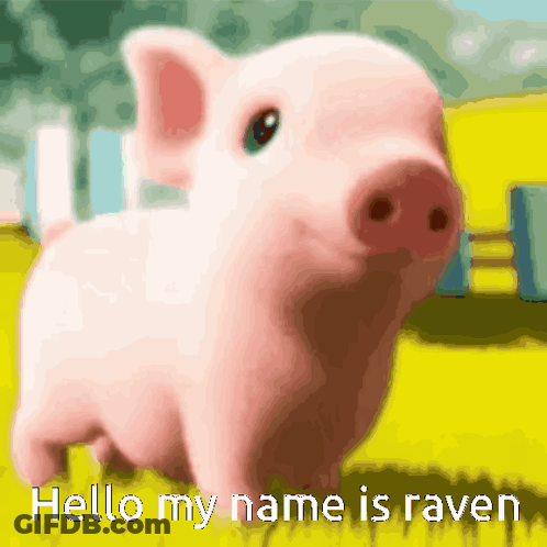 A Picture Of A Pig With The Words Hello My Name Is Raven GIF