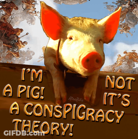 A Picture Of A Pig With The Words I 'M A Pig Not It 'S A Conspiracy Theory On It GIF