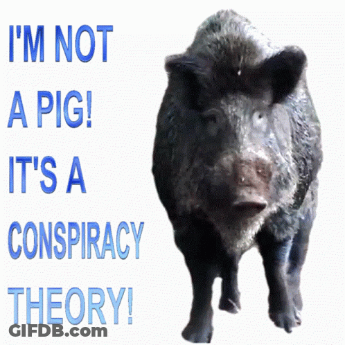 A Picture Of A Pig With The Words " I 'M Not A Pig It 'S A Conspiracy Theory " GIF