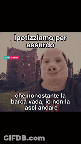 A Picture Of A Pig With The Words Ipotiziamo Per Assurdo On The Bottom GIF