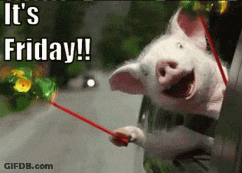 A Picture Of A Pig With The Words It 'S Friday On The Bottom GIF