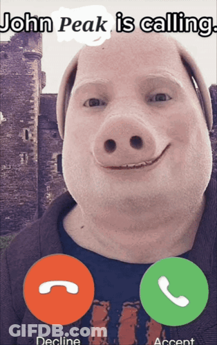 A Picture Of A Pig With The Words John Peak Is Calling On It GIF