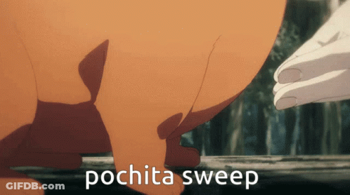 A Picture Of A Pig With The Words Pochita Sweep Written On It GIF