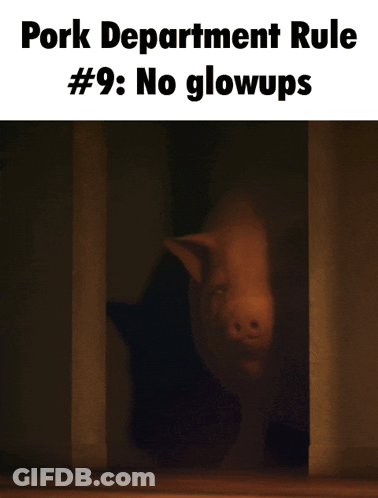 A Picture Of A Pig With The Words Pork Department Rule # 9 No Glowups GIF