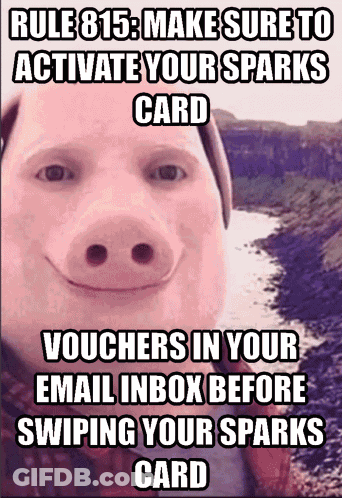 A Picture Of A Pig With The Words Rule 815 Make Sure To Activate Your Sparks Card On It GIF