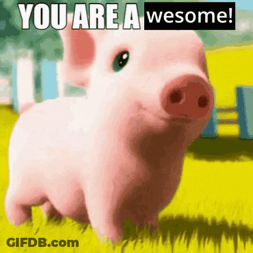 A Picture Of A Pig With The Words " You Are A Wesome " On It GIF