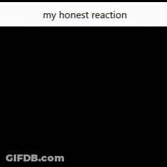 A Picture Of A Pigeon With The Words My Honest Reaction Written On The Bottom GIF