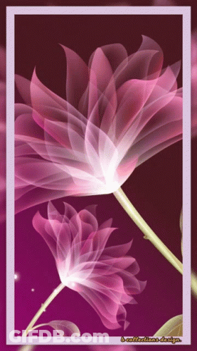 A Picture Of A Pink Flower With A Purple Background And A Purple Frame GIF