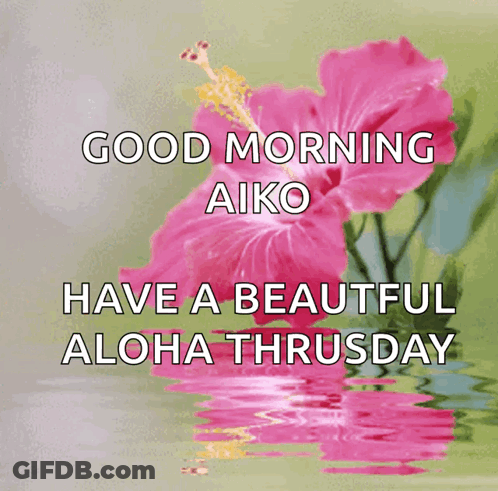 A Picture Of A Pink Flower With The Words " Good Morning Aiko Have A Beautiful Aloha Thursday " GIF