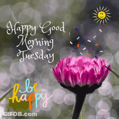 A Picture Of A Pink Flower With The Words Happy Good Morning Tuesday GIF