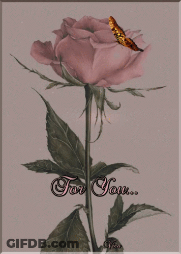 A Picture Of A Pink Rose With A Butterfly On It And The Words For You GIF