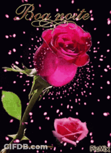 A Picture Of A Pink Rose With The Words Boa Noite On The Bottom GIF