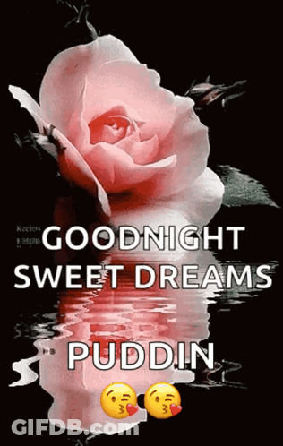 A Picture Of A Pink Rose With The Words Goodnight Sweet Dreams Puddin GIF
