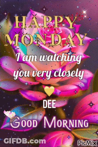 A Picture Of A Pink Rose With The Words Happy Monday I Am Watching You Very Closely GIF