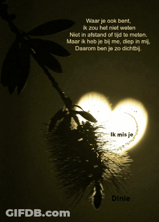A Picture Of A Plant With A Heart Shaped Shadow And A Poem By Dinie GIF