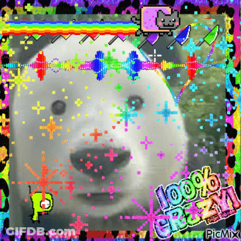 Polar Bear With 100 Crazy Words GIF