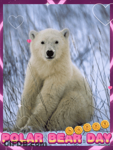 A Picture Of A Polar Bear With The Words Polar Bear Day On The Bottom GIF
