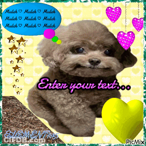 A Picture Of A Poodle With A Speech Bubble That Says " Enter Your Text " GIF