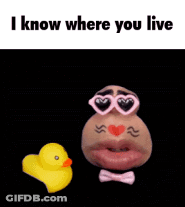 A Picture Of A Potato Wearing Sunglasses And A Bow Tie Next To A Yellow Rubber Duck . GIF