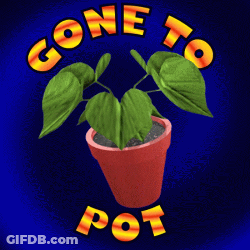 A Picture Of A Potted Plant With The Words Gone To Pot Written Around It GIF