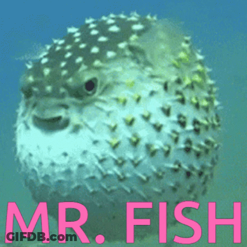A Picture Of A Puffer Fish With The Words Mr. Fish In Pink GIF