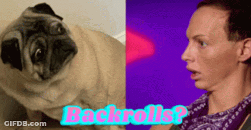 A Picture Of A Pug Dog Next To A Picture Of A Man With The Words Backrolls On The Bottom GIF