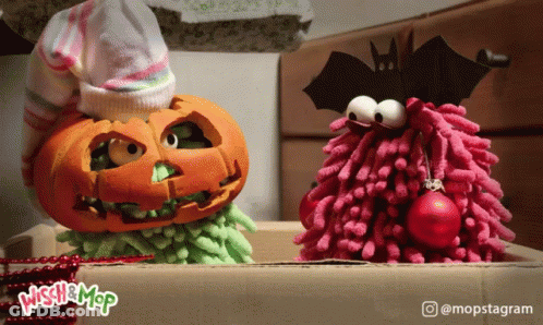 A Picture Of A Pumpkin And A Mop With A Caption That Says ' Washer Mop ' GIF