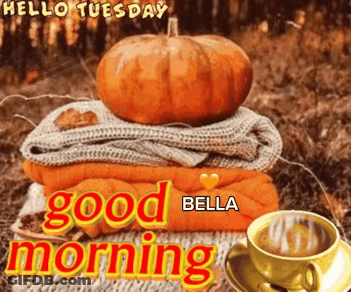 A Picture Of A Pumpkin On Top Of A Pile Of Blankets With The Words Good Morning Bella GIF