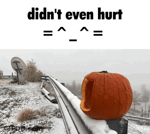 A Picture Of A Pumpkin Sitting On A Snow Covered Railing With The Words Didn 'T Even Hurt Below It GIF