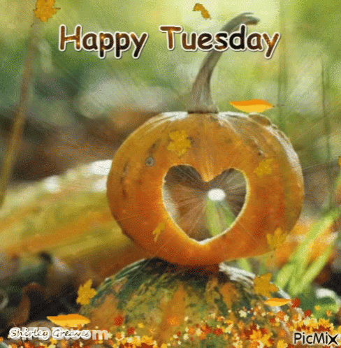 A Picture Of A Pumpkin With A Heart Cut Out Of It And The Words Happy Tuesday GIF