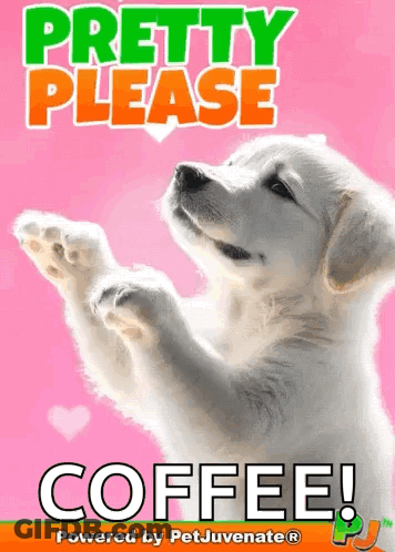A Picture Of A Puppy That Says Pretty Please Coffee On It GIF