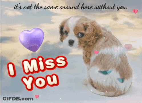 A Picture Of A Puppy With The Words I Miss You On It GIF