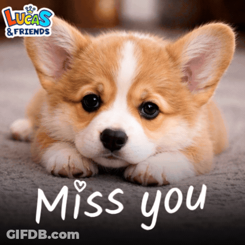 A Picture Of A Puppy With The Words Miss You Written Below It GIF