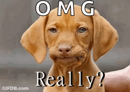 A Picture Of A Puppy With The Words Omg Really Written On It GIF