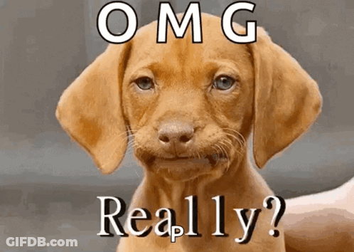 A Picture Of A Puppy With The Words Omg Really Written On It GIF