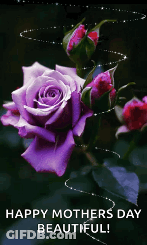 A Picture Of A Purple Rose With The Words Happy Mothers Day Beautiful GIF