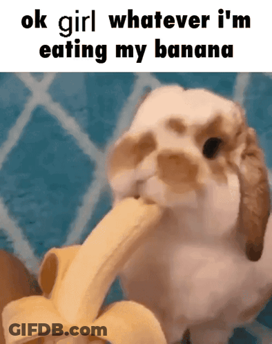 A Picture Of A Rabbit Eating A Banana With A Caption That Says Ok Girl Whatever I 'M Eating My Banana GIF