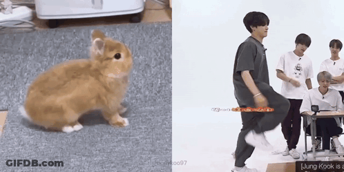 A Picture Of A Rabbit Next To A Picture Of A Person Dancing GIF