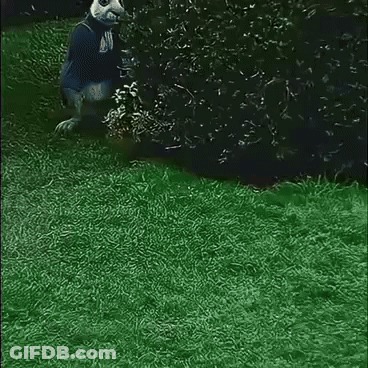 A Picture Of A Rabbit With A Clock In Its Mouth GIF